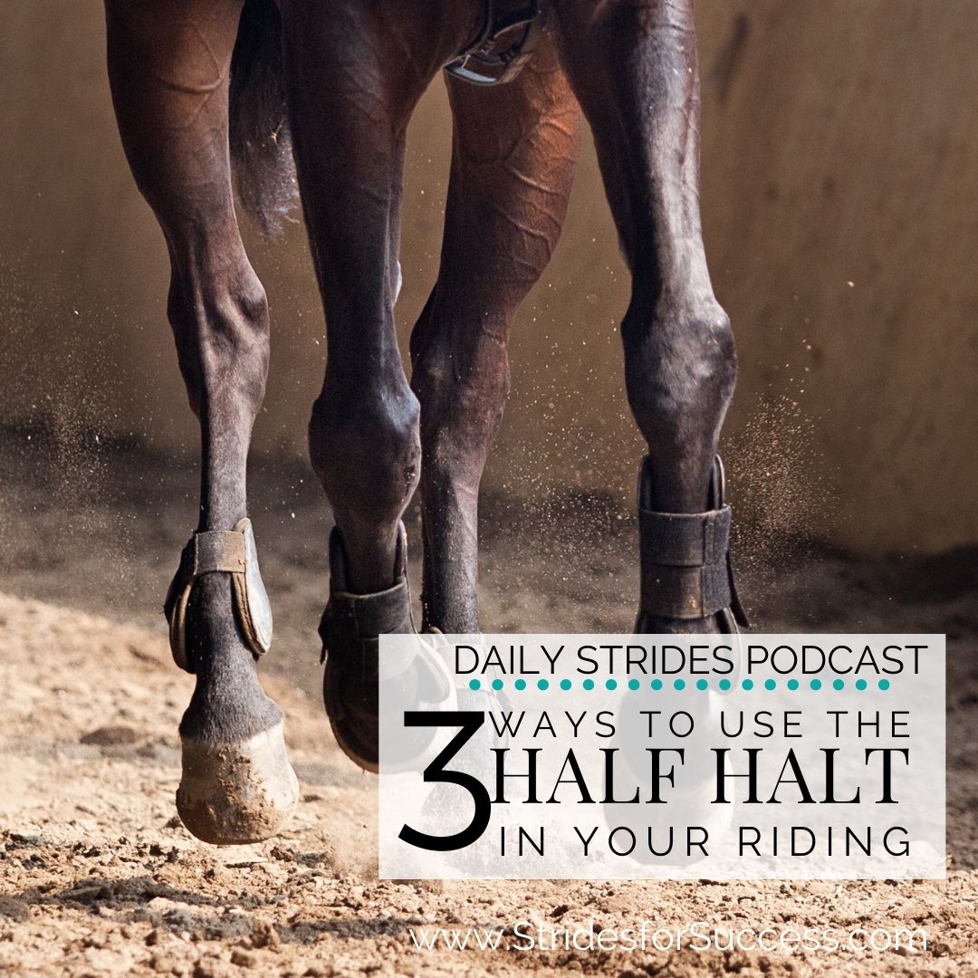 3 Ways to Use the Half Halt in Your Riding