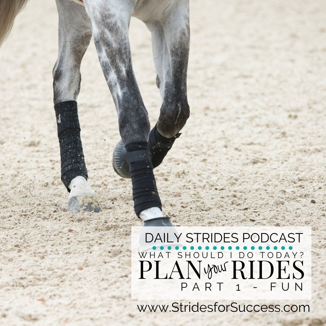 Planning Your Rides – Part 1:  Fun