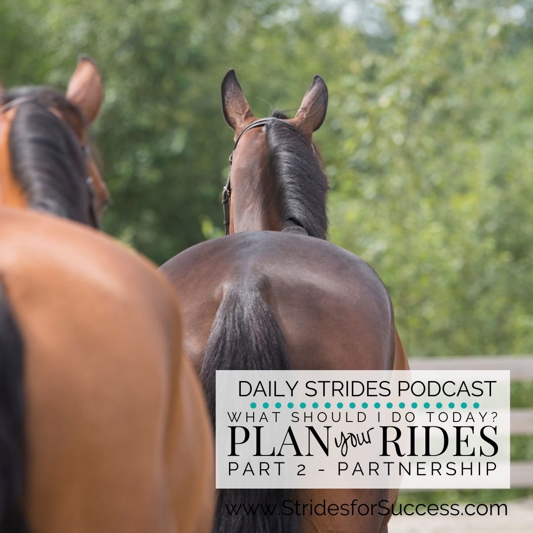 Your Riding Plan - Part 2 - Partnership