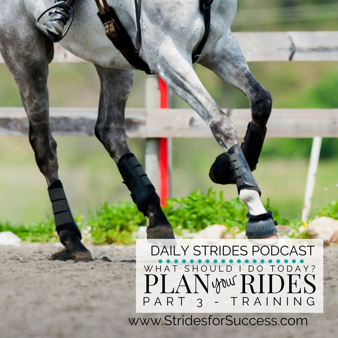 Your Riding Plan – Part 3 – Developing