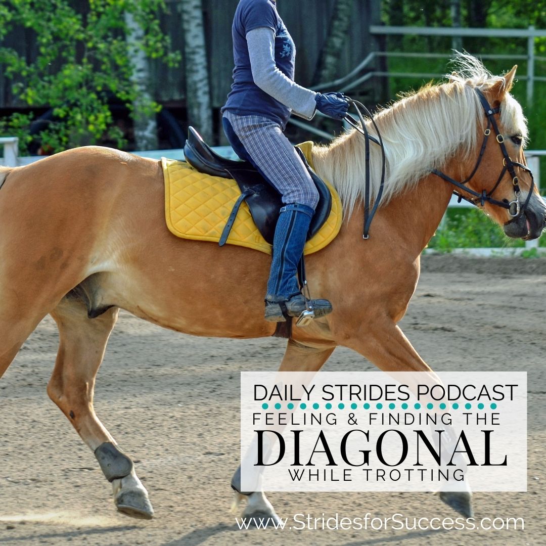 Feeling and Finding The Correct Diagonal in the Trot