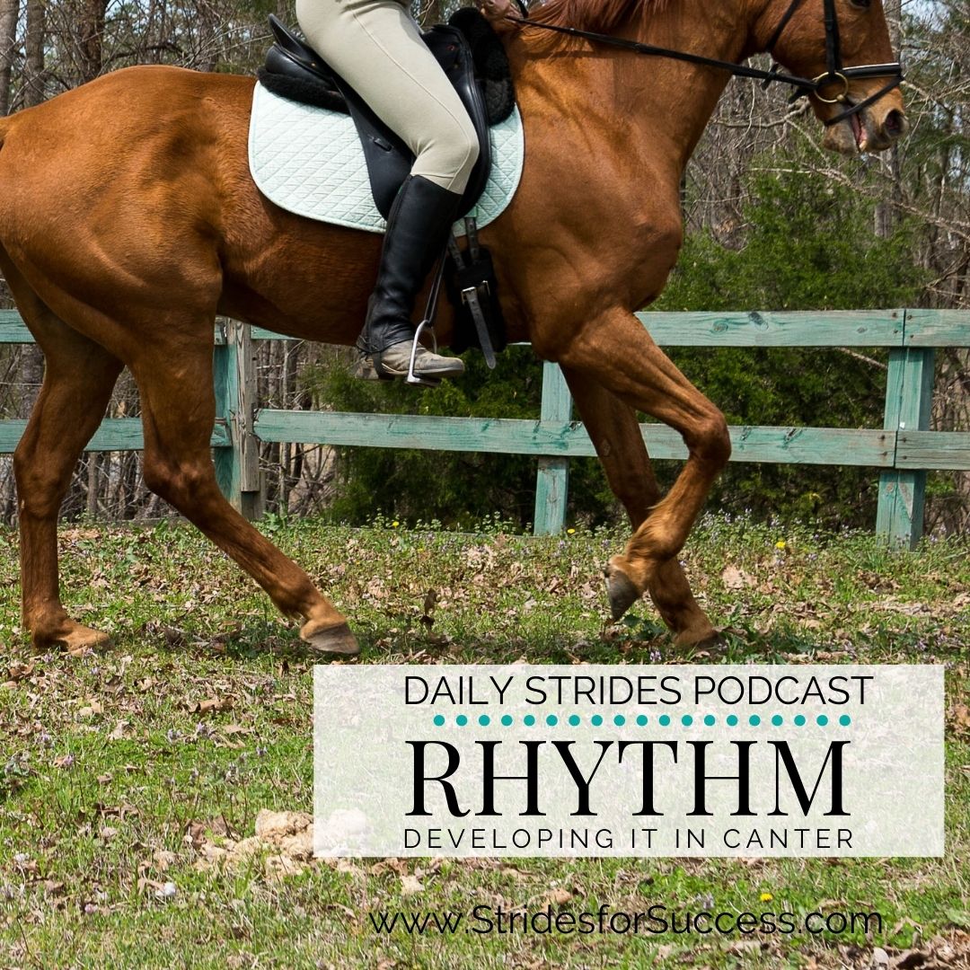 Rhythm; Learning to Identify and Develop it in the Canter