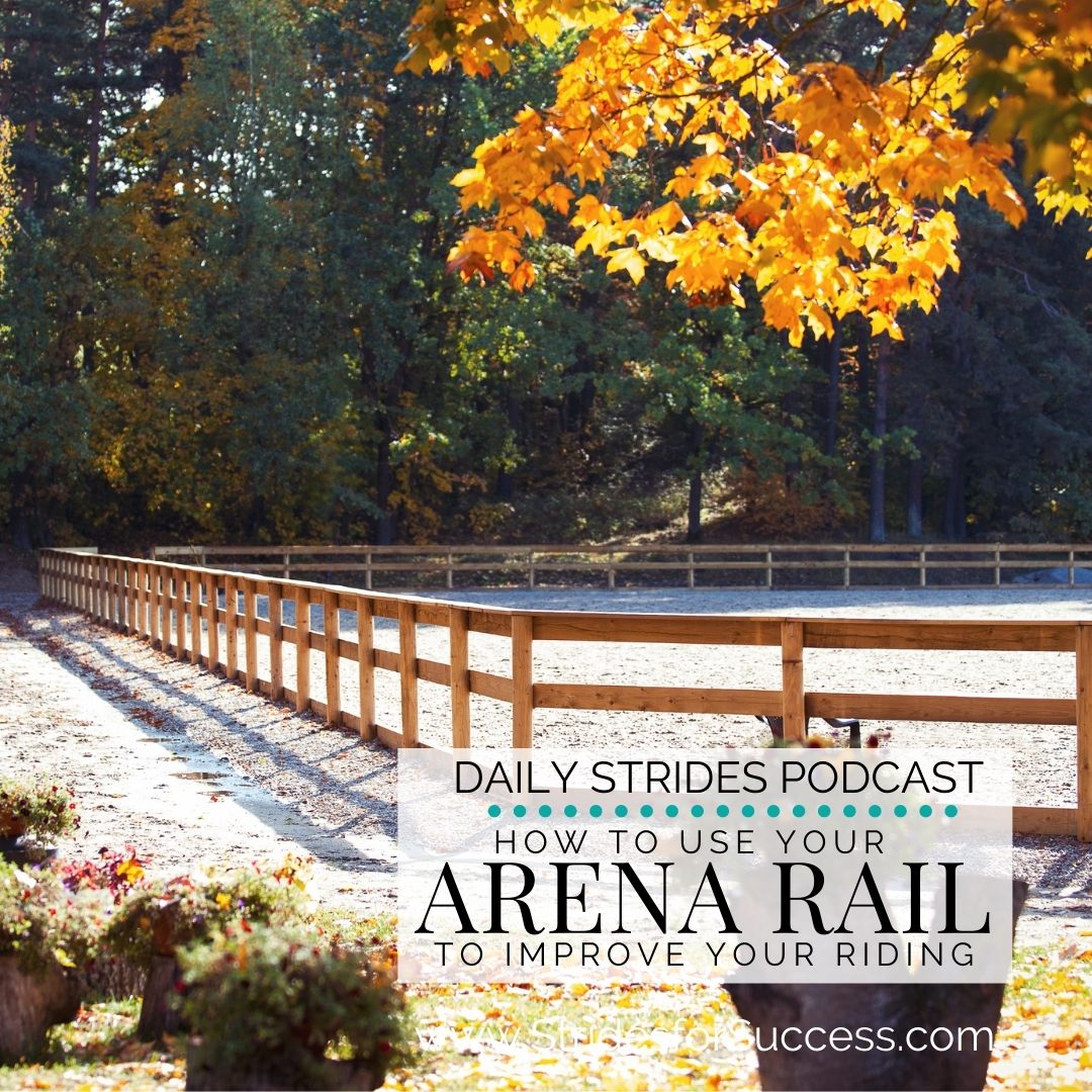 Using Your Arena Rail as an Aid in Your Riding