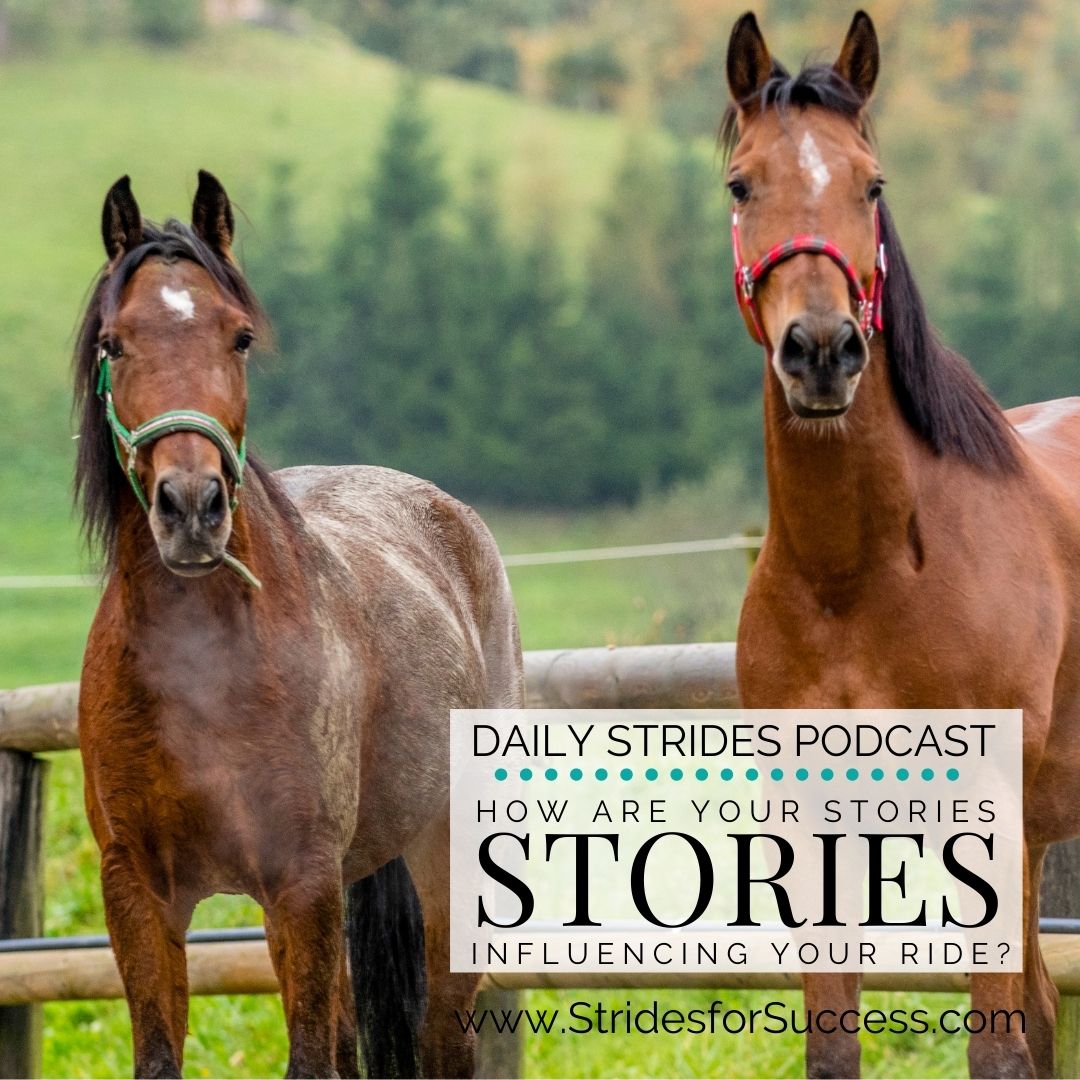 How Your Stories are Influencing Your Horse Riding