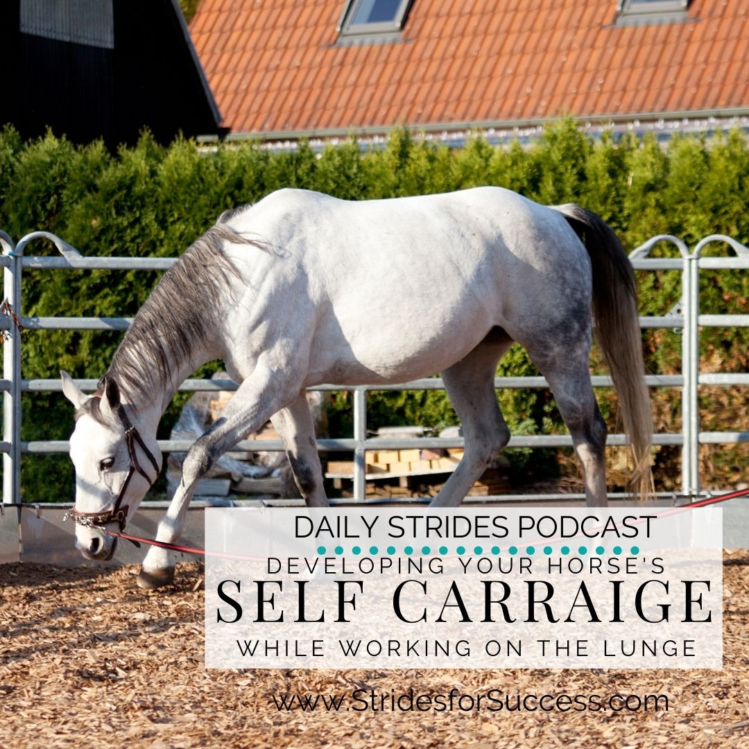 Working Towards Self Carriage on the Lunge