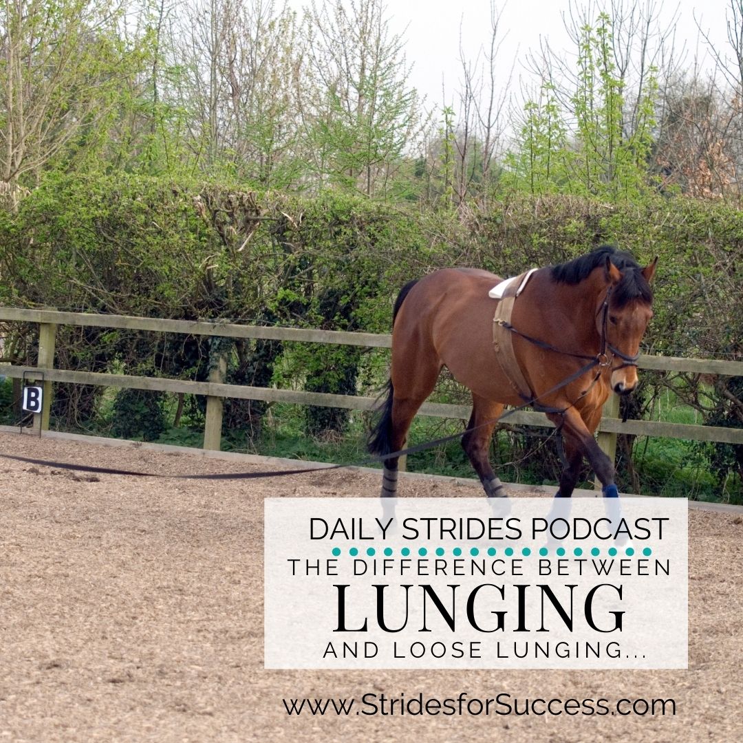 Loose Lunging versus Lunging…
