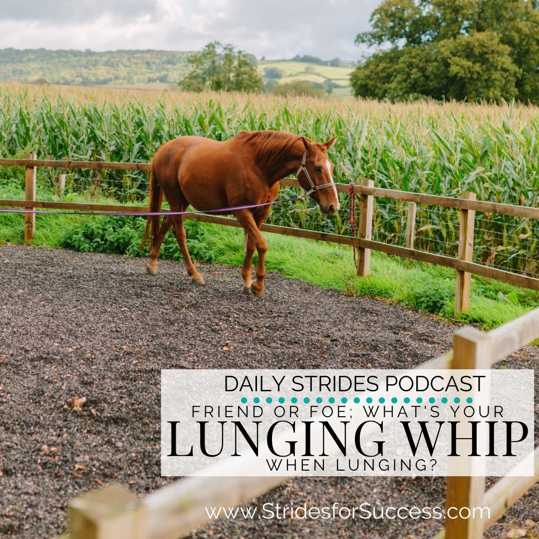 Friend or Foe? Your Lunging Whip when Lunging