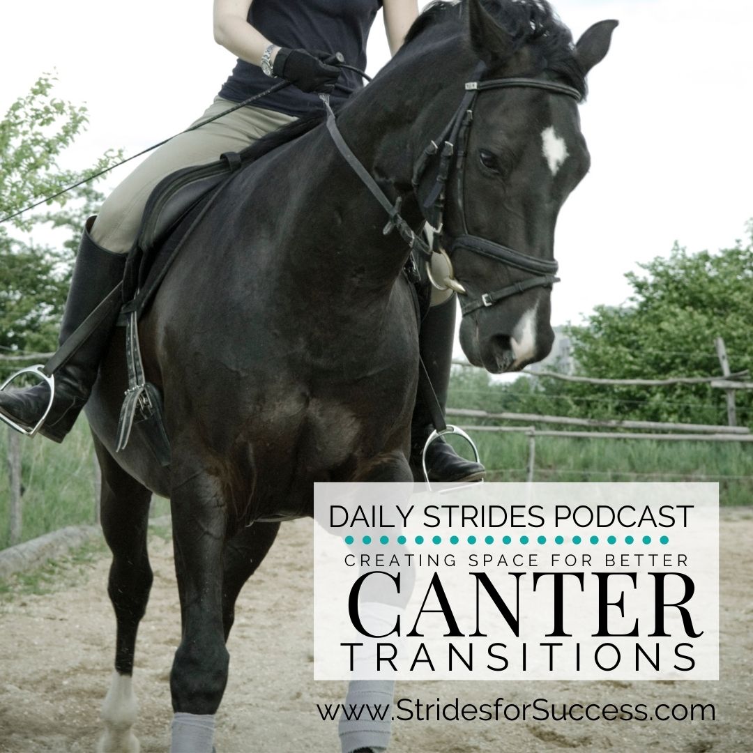 Creating Space for Better Canter Transitions