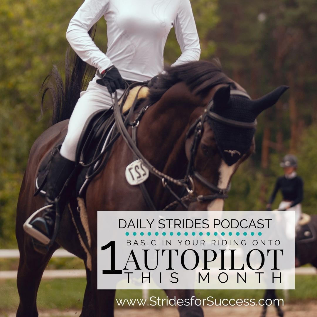 Putting 1 Basic on Autopilot in Your Riding This Month