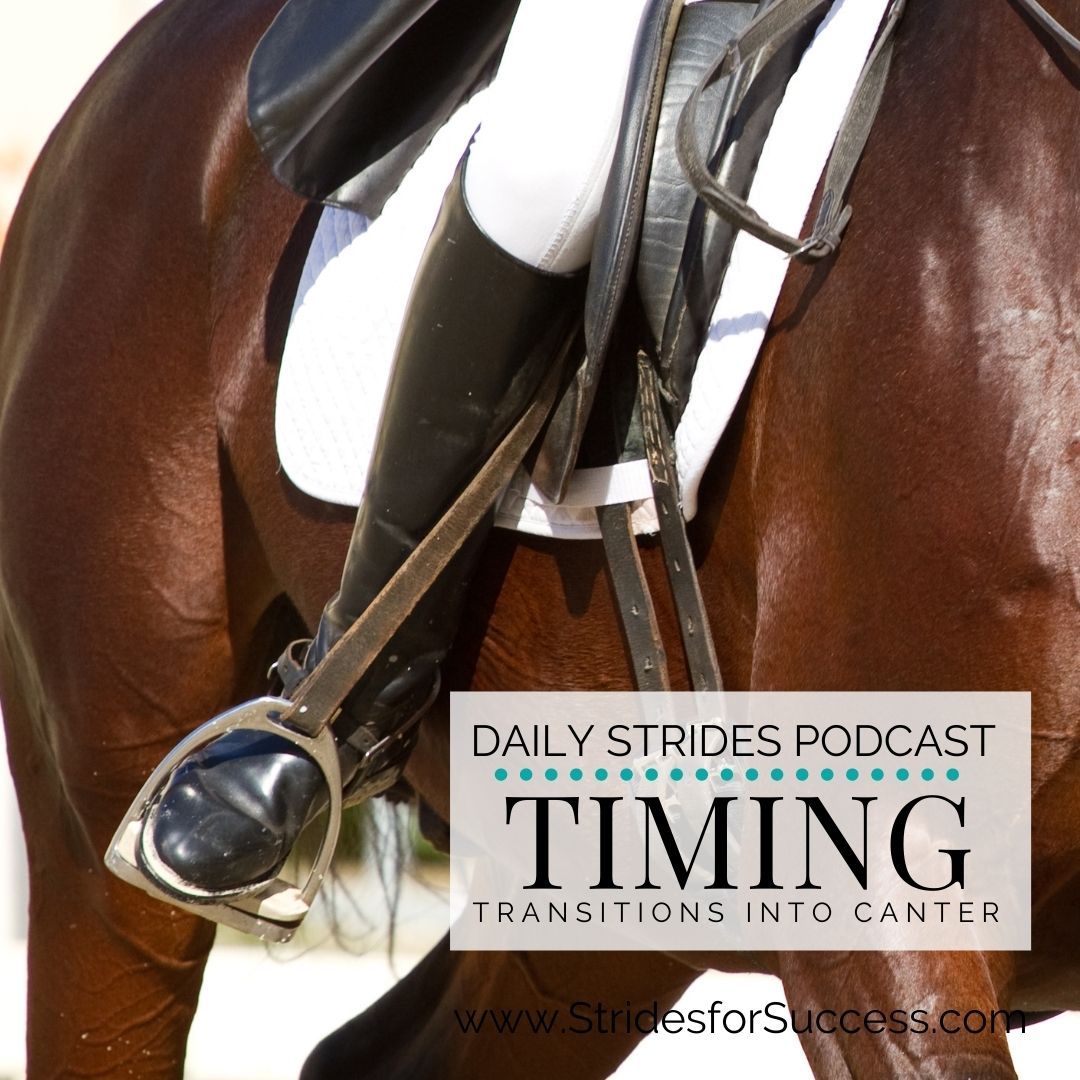 Timing Your Transition into Canter