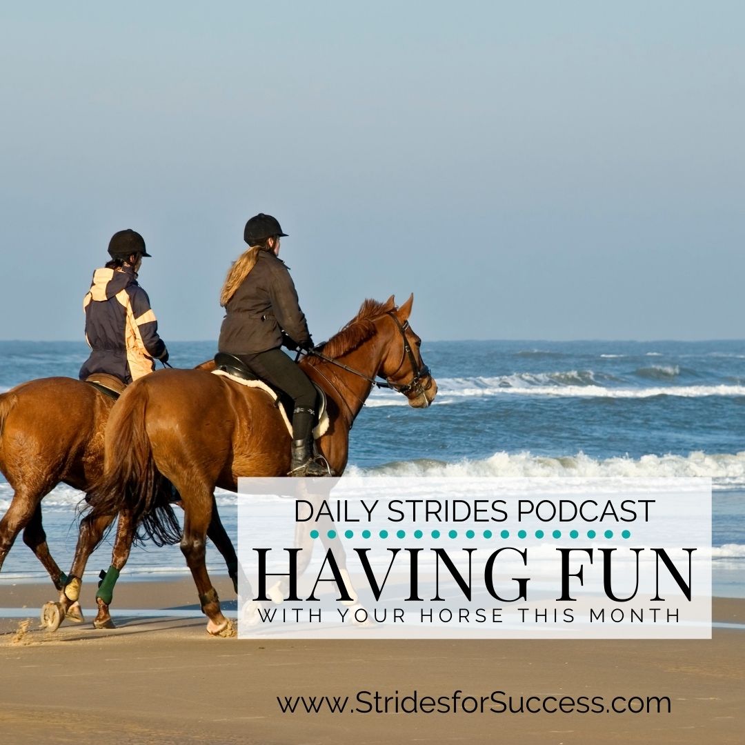 5 Ways to Have Fun with Your Horse This Month