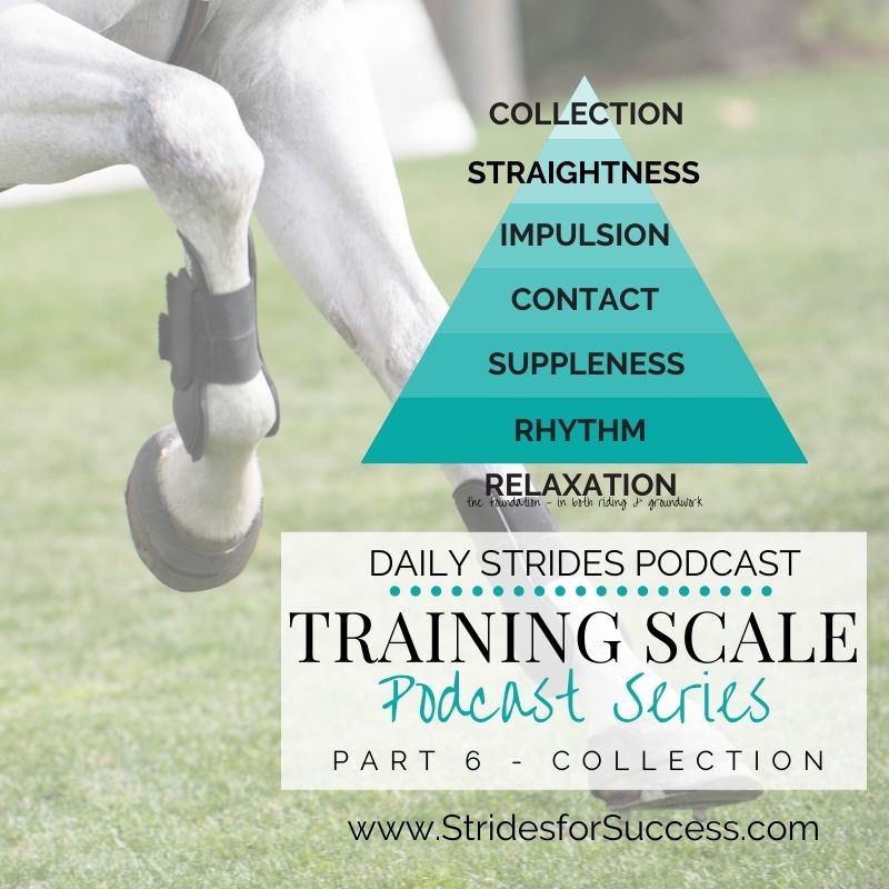 [Training Scale Series] Part 6 – Collection; Starting Today?