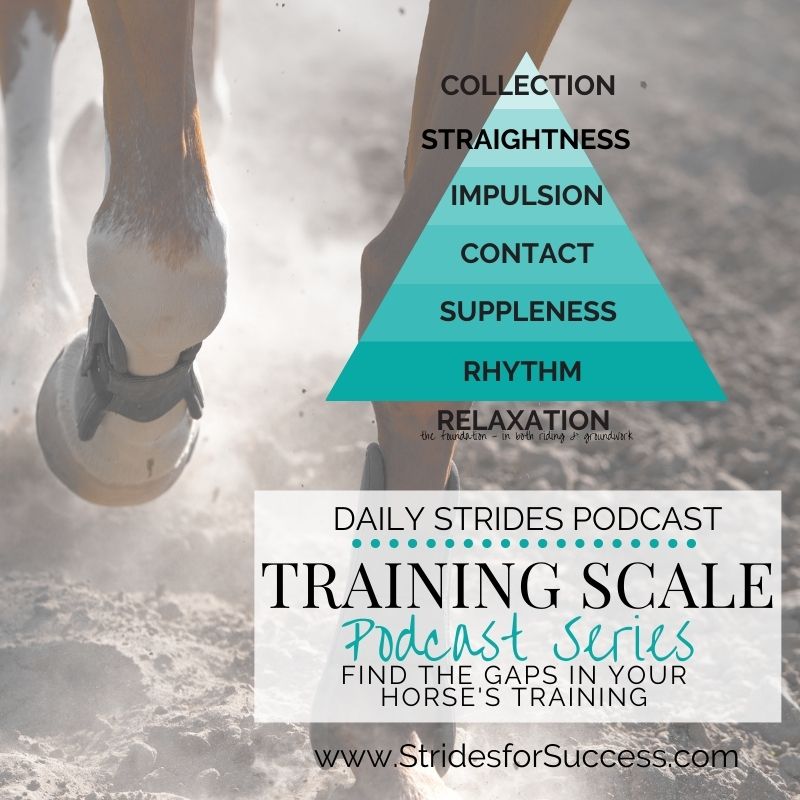 Putting All the Pieces Together When Training Your Horse