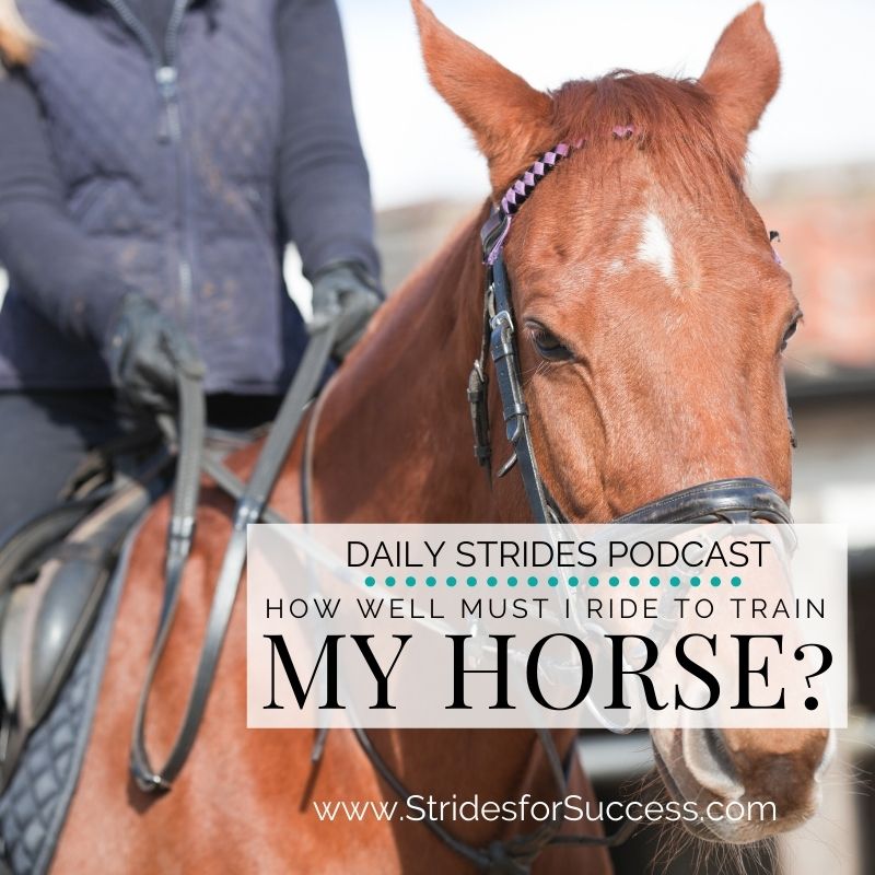 How Well Must I Ride to Train My Horse?