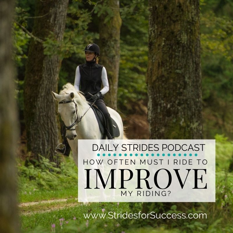 How Often Must You Ride to Improve Your Riding?