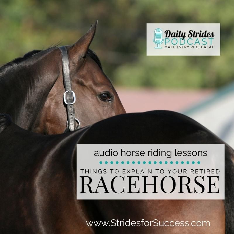 4 Things You Must Explain to Your Retired Racehorse