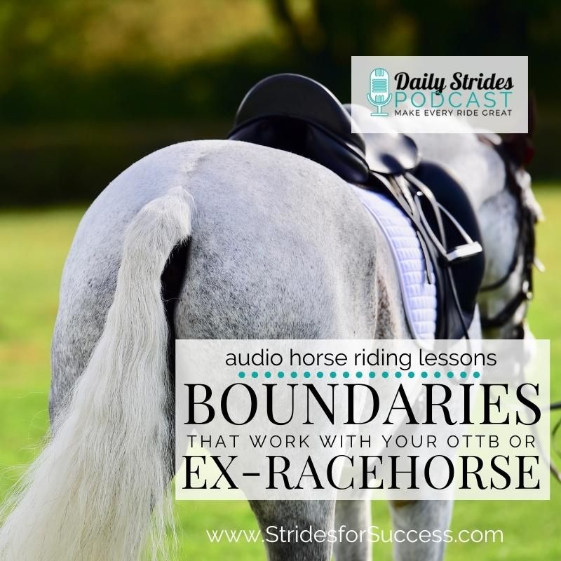 Setting Boundaries that Work with Your OTTB