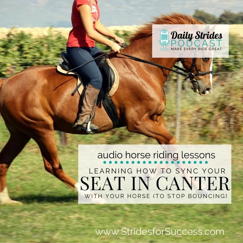 1231_ Syncing Your Seat in the Canter with Your Horse 1
