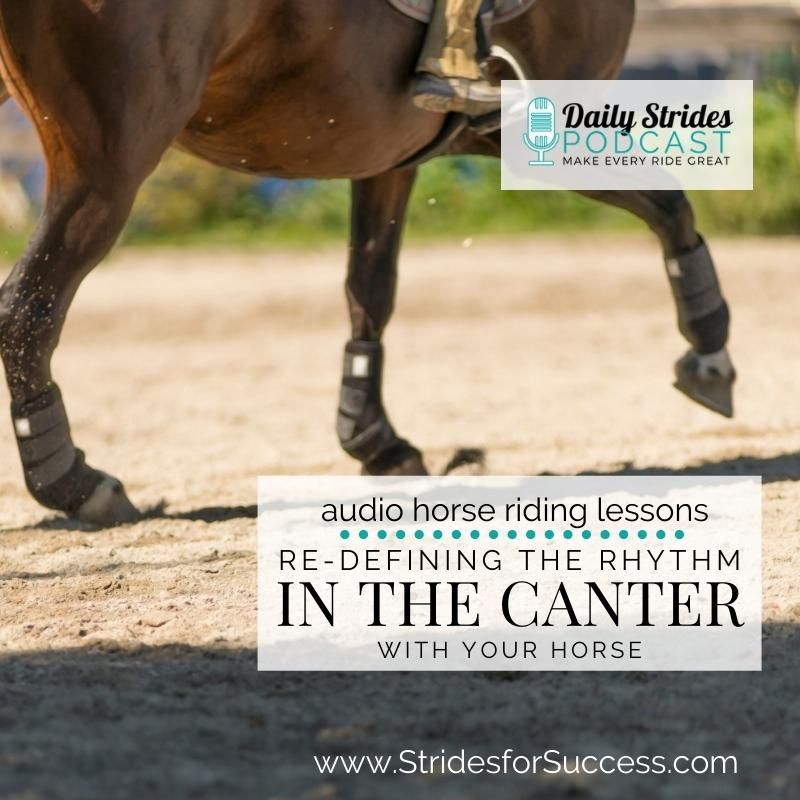 1233 Re-Defining the Rhythm in Canter with Your Horse