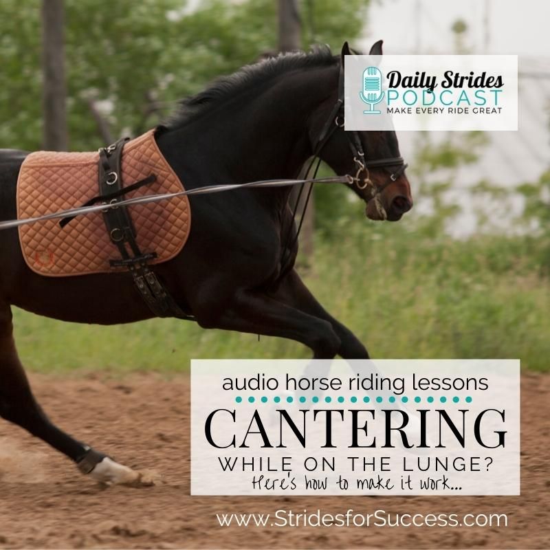 Cantering on the Lunge? Here’s How to Make it Work…