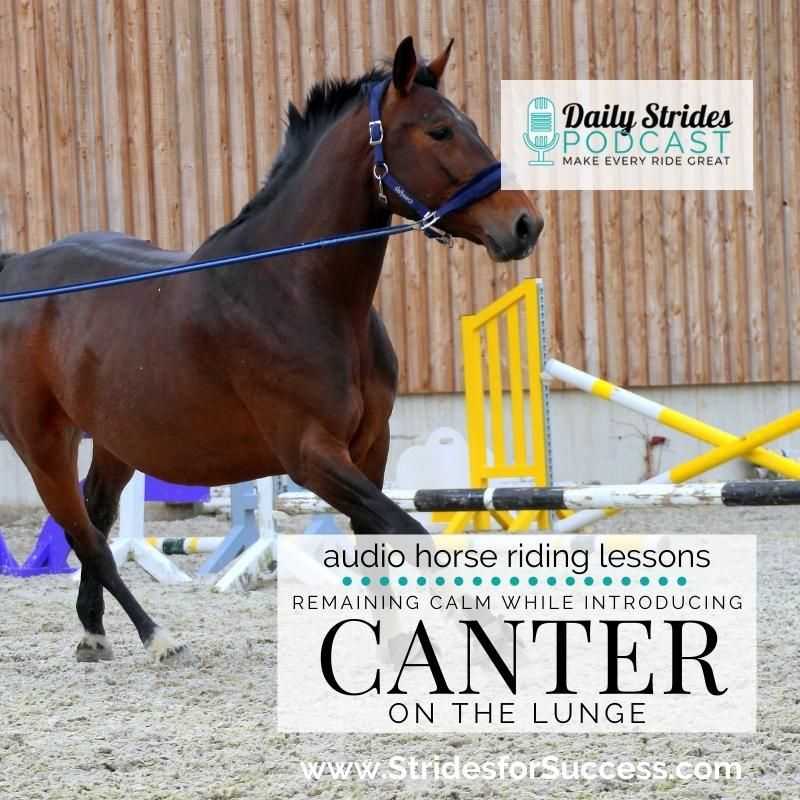 Remaining Calm While Introducing Canter on the Lunge