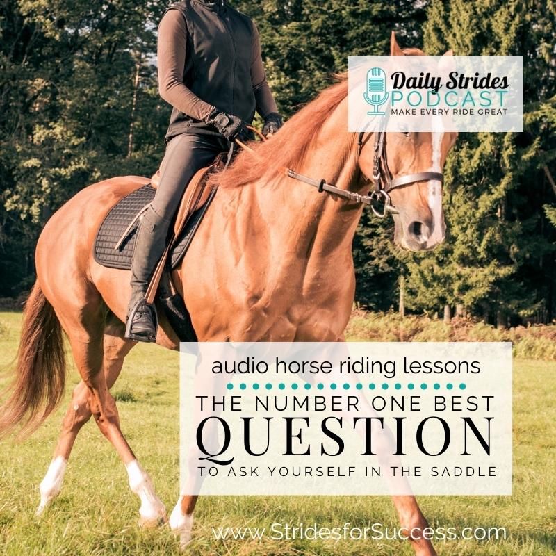 The Best Question to Ask Yourself when You’re in the Saddle…