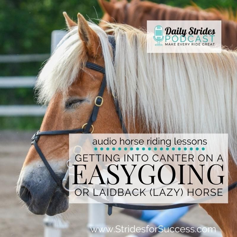 1253 Getting into Canter on a Easygoing or Lazy Horse