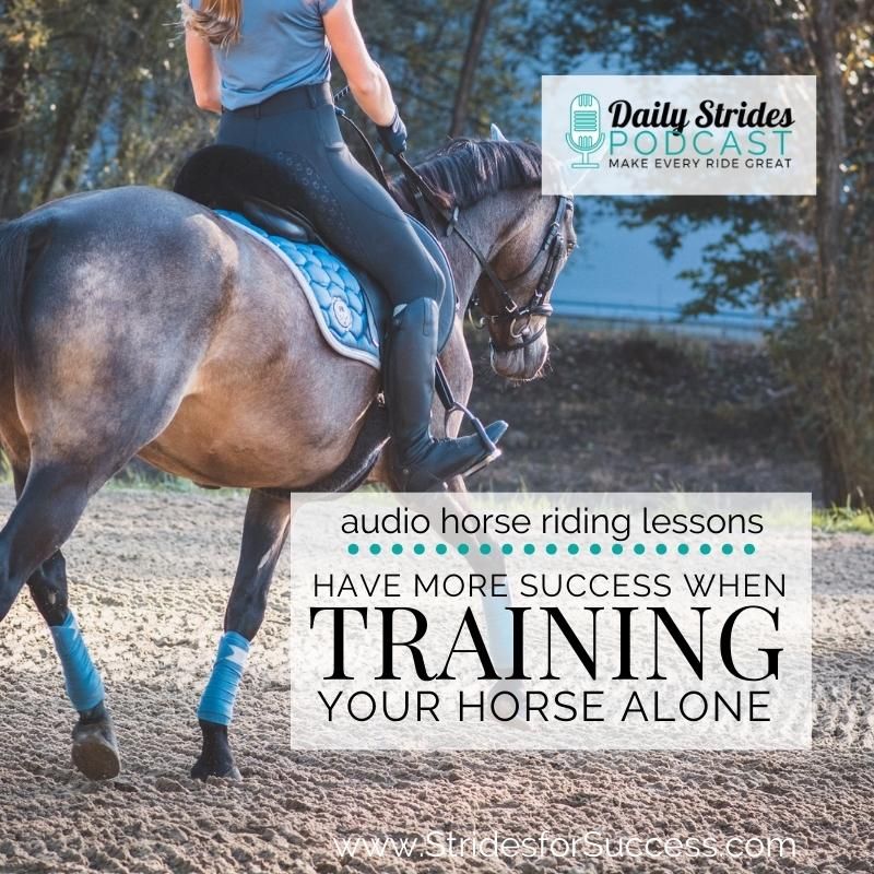 Have More Success When Training Your Horse Alone
