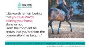 1254 More Success When Training Your Horse Alone 2