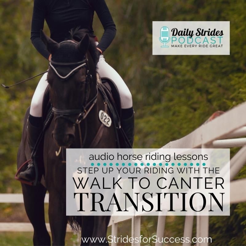 Step Up Your Riding with the Walk to Canter Transition