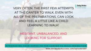 1257 Introducing Your Horse to the Canter to Walk Transition 