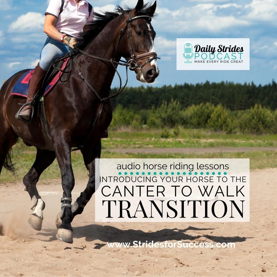 Introducing the Canter to Walk Transition
