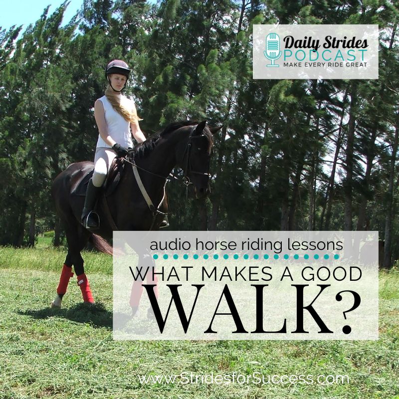 What Makes a Good Walk?