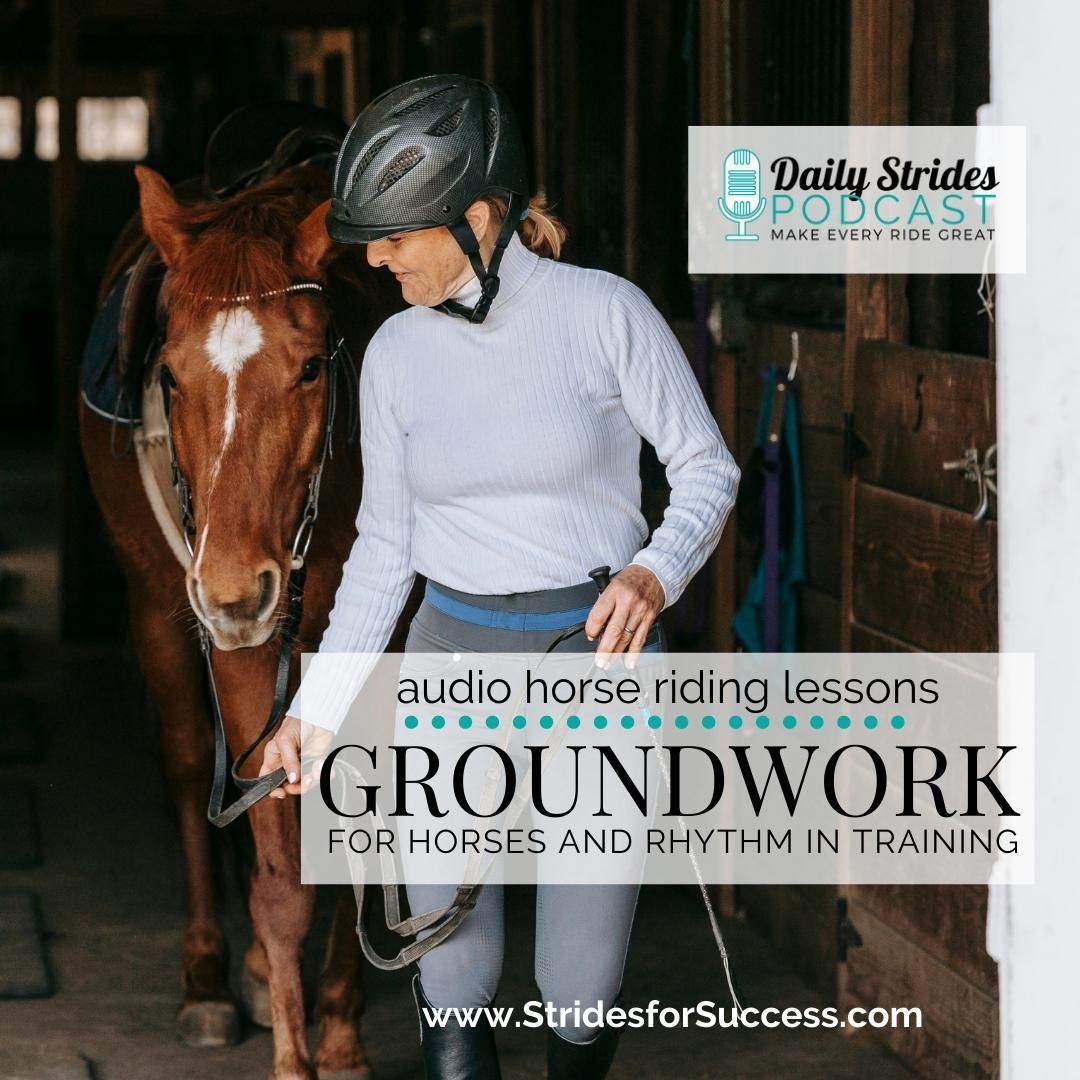 1259 Groundwork for Horses and Rhythm in Training