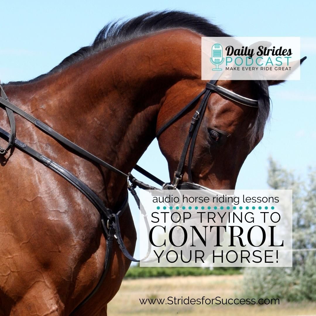 Stop Trying to Control Your Horse!