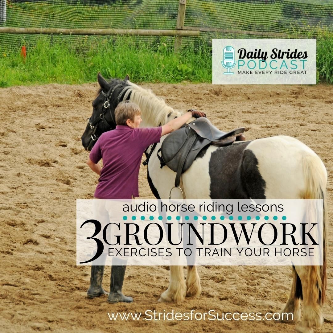 3 Groundwork Exercises to Train Your Horse