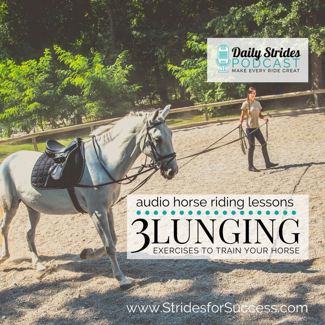 3 Lunging Exercises to Train Your Horse