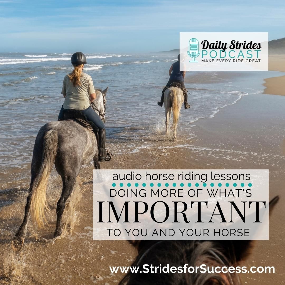 What is ‘Doing It’ for You and Your Horse?