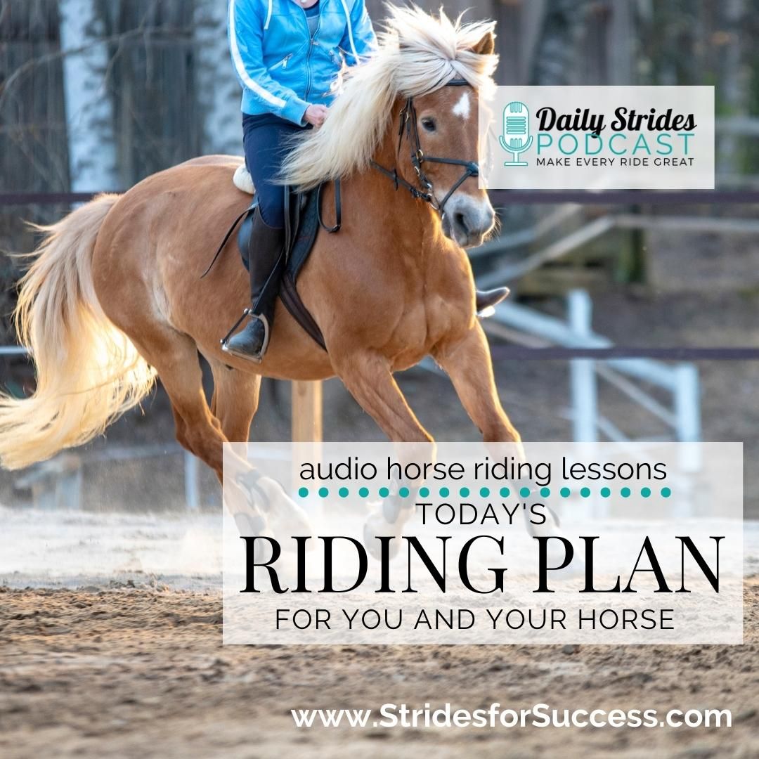 Today’s Riding Plan for You and Your Horse…