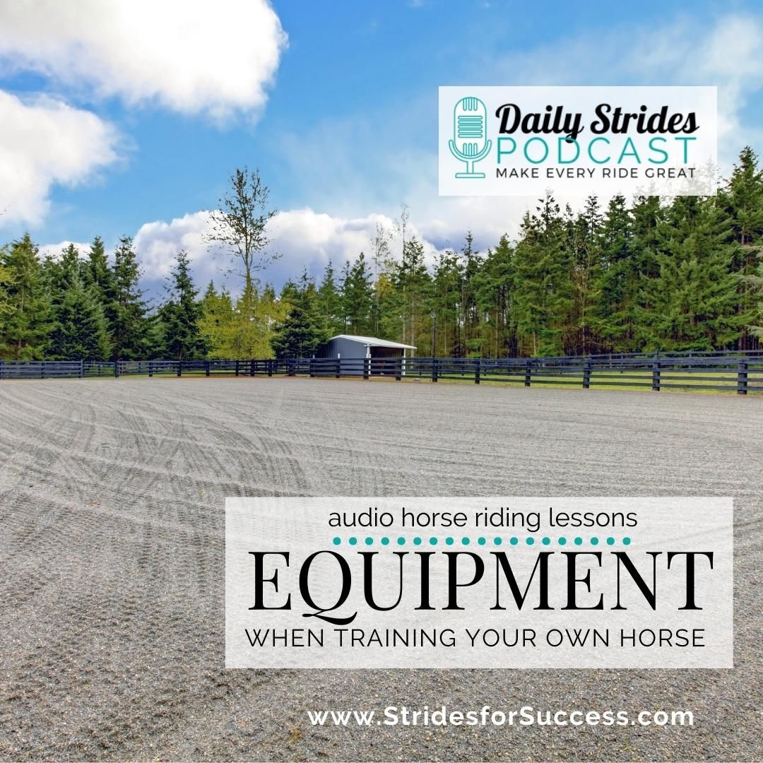 Essential Equipment When Training Your Horse