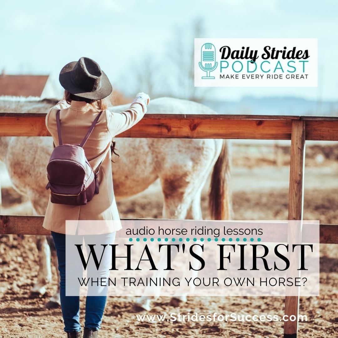 What Comes First When Training Your Horse?