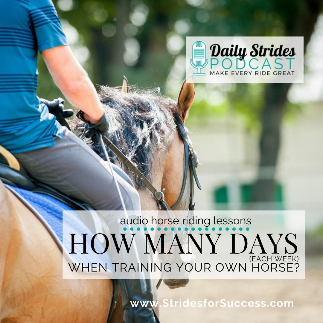How Many Days per Week Should I Work My Horse?
