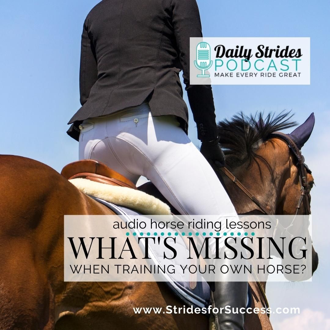 What’s Missing When Training Your Horse?