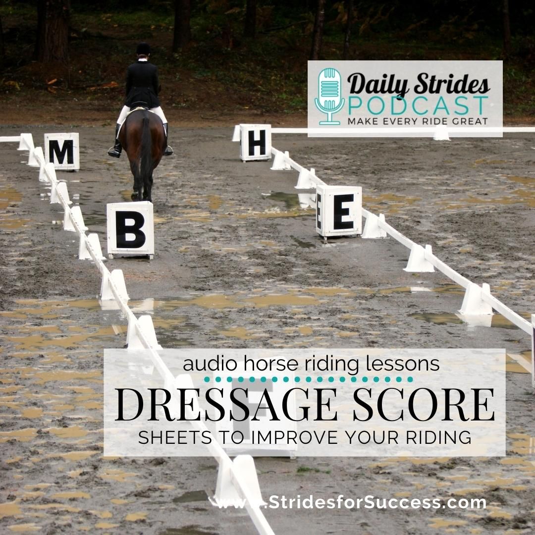Analysing Your Dressage Score Sheets to Improve Your Riding