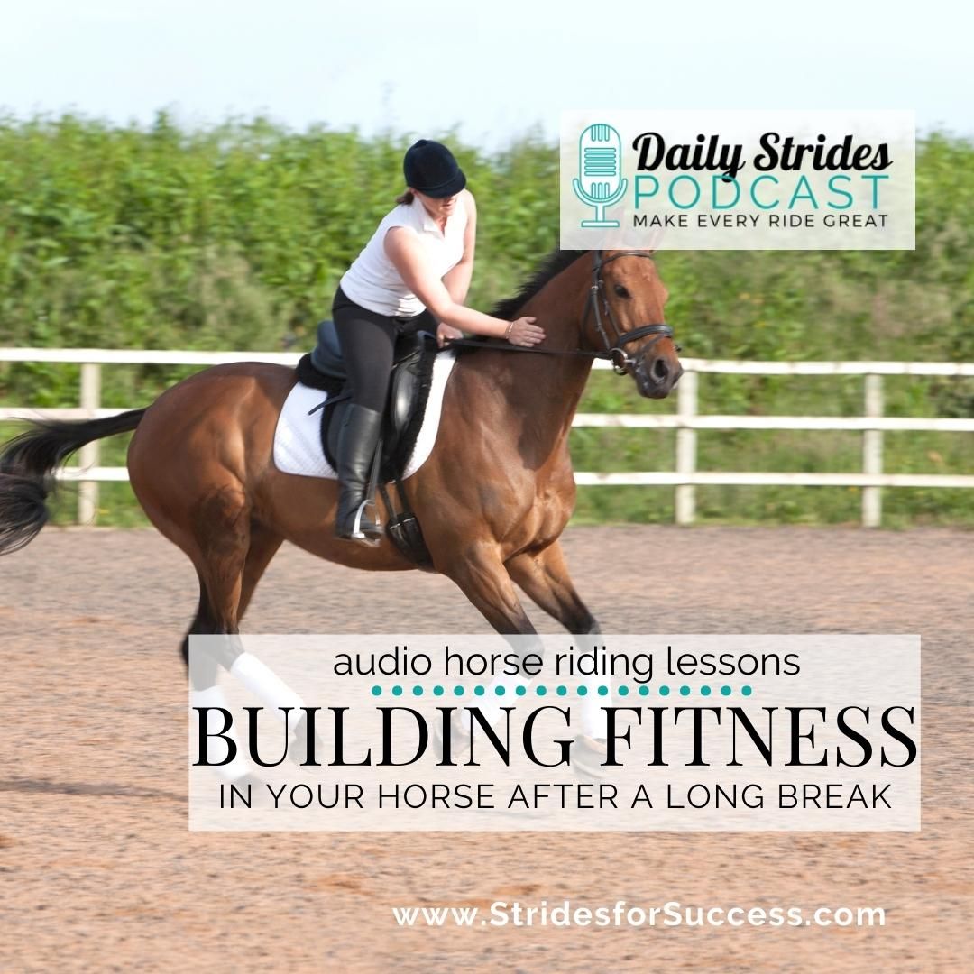 Building Your Horses Fitness (coming back to work after a long break)