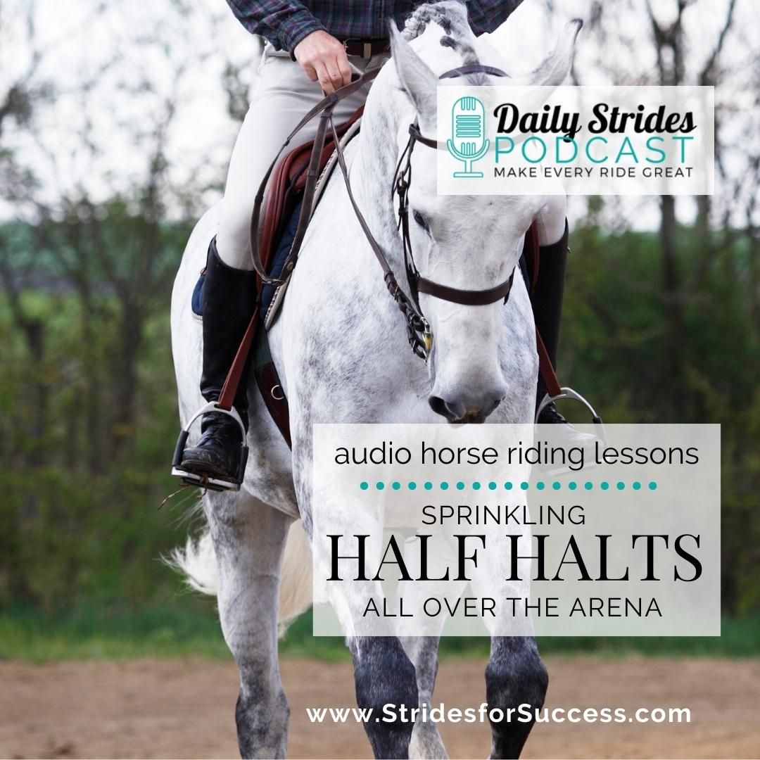 Sprinkling Half Halts all Over the Arena