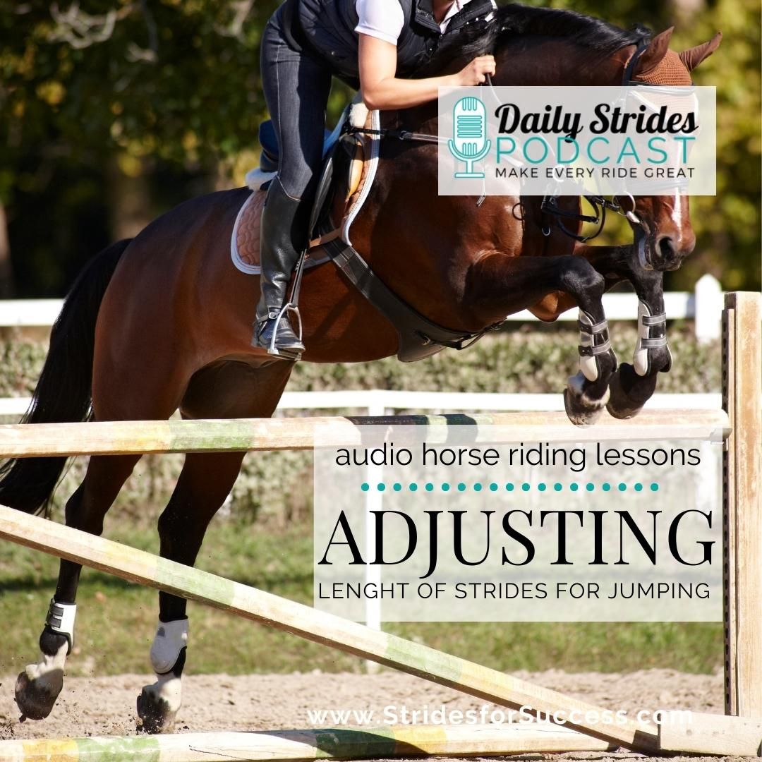 Adjusting the Length of Your Horse’s Stride for Jumping