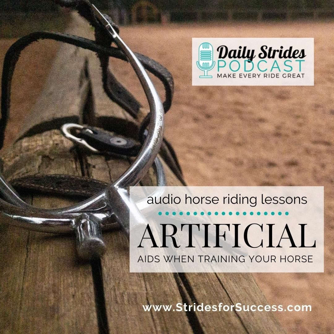 Using Artificial Aids when Training Your Horse