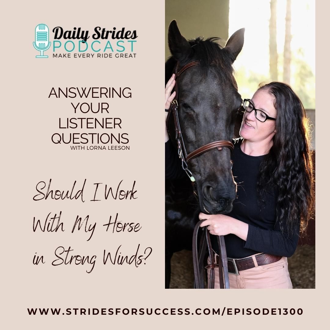 Question:- Should I Train My Horse in the Wind?