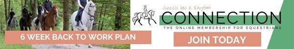 Building Your Horses Fitness - Connection; The Online Membership for Equestrians Working Alone without a Trainer or Coach